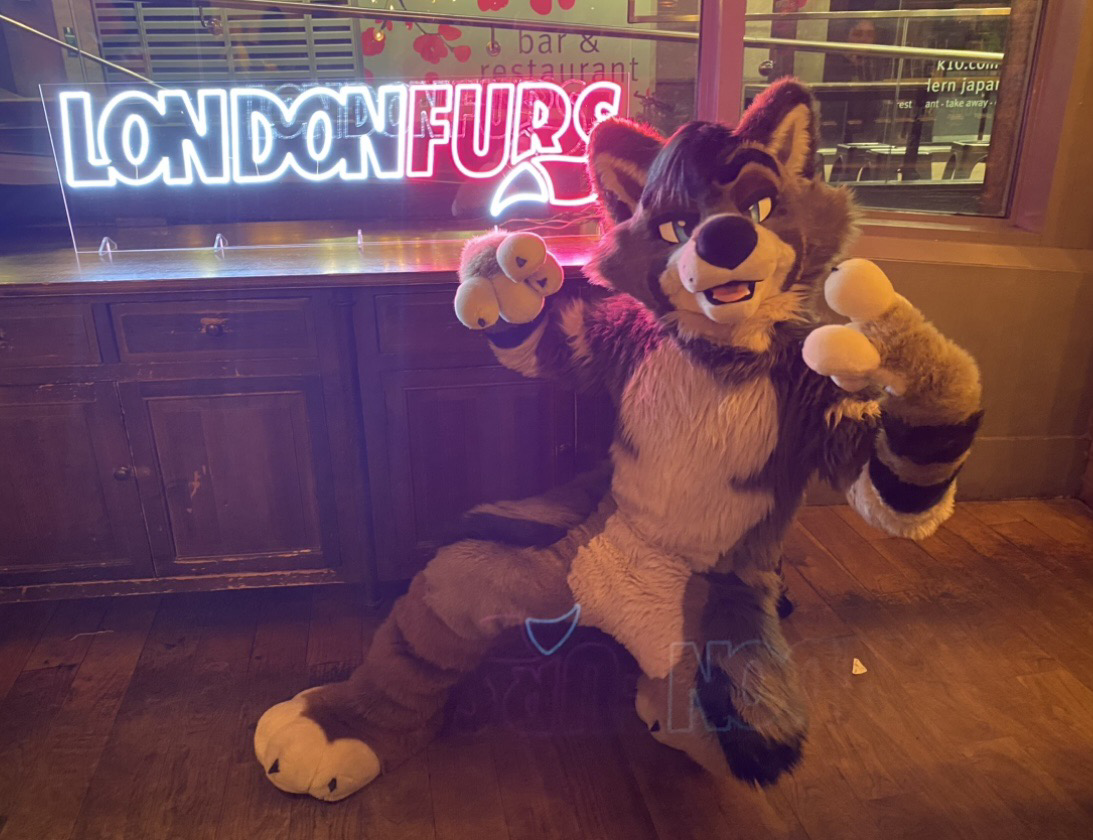 Tav (@Tav@meow.social) - meow.social - the mastodon instance for