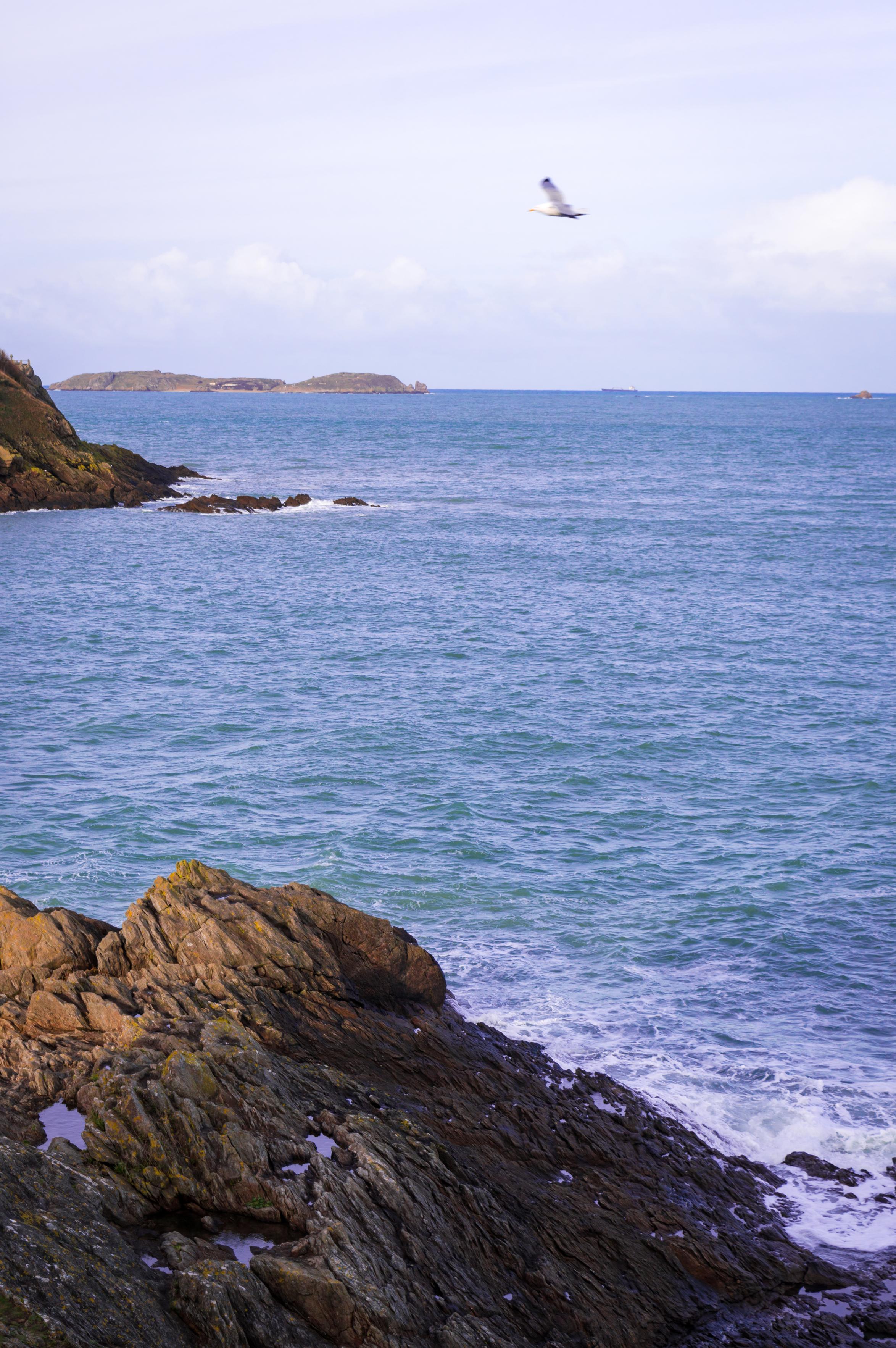 Some rocks near the shore and a relatively calm sea. A seagull flying across the shot