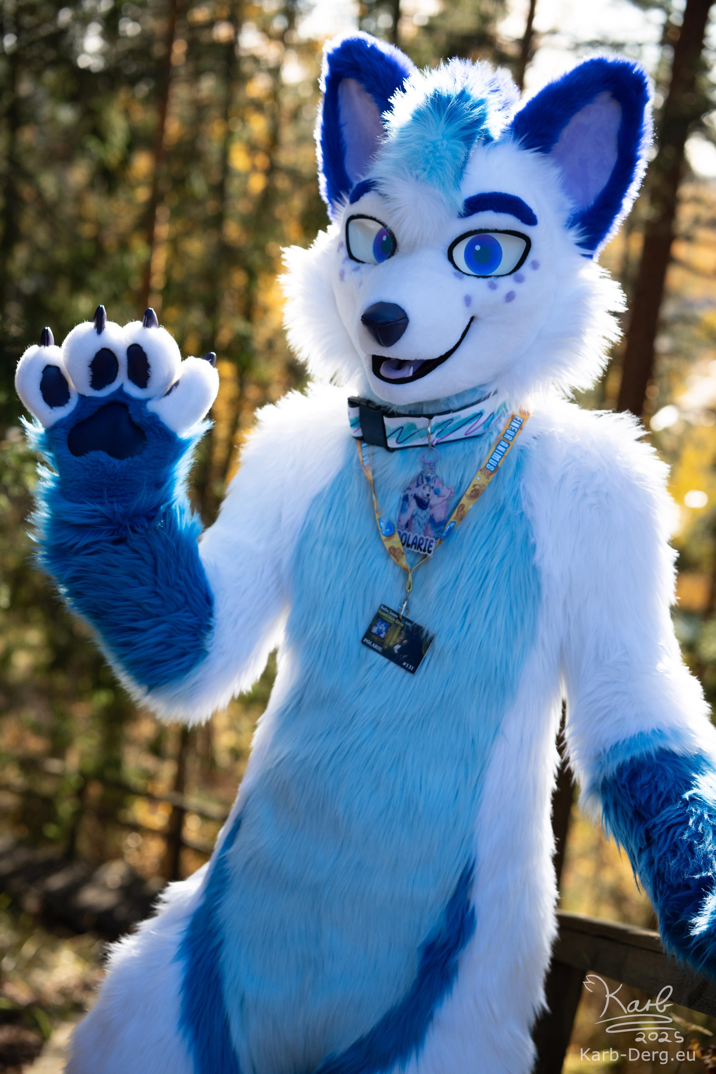 Polarie, the fox fursuiter, standing in a beautiful finish autumn forest